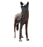 Img19.png